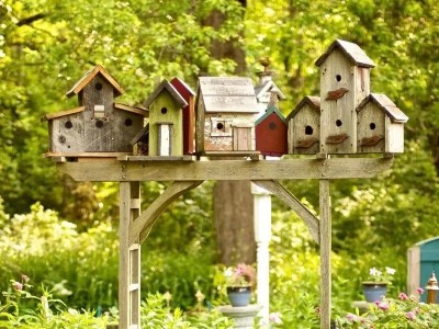 幼兒園自然角設計這樣做，讓人眼前一亮！