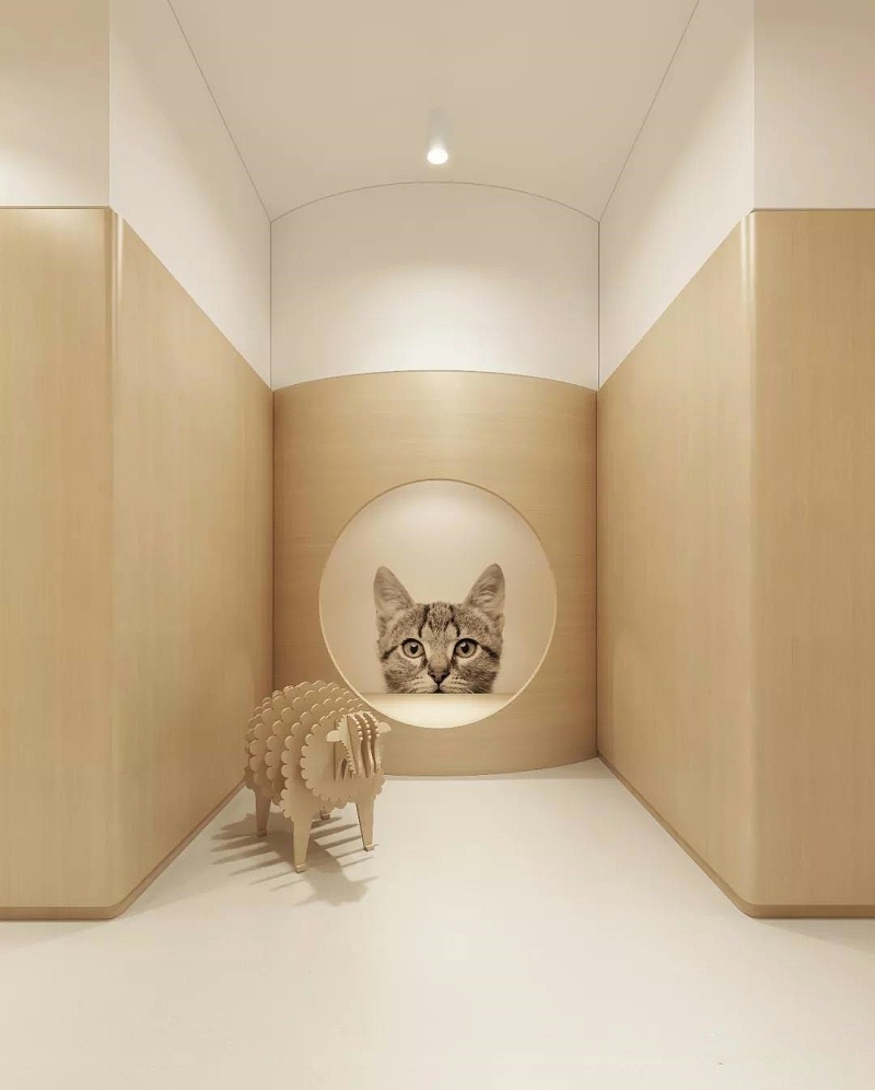 托育中心設(shè)計裝修